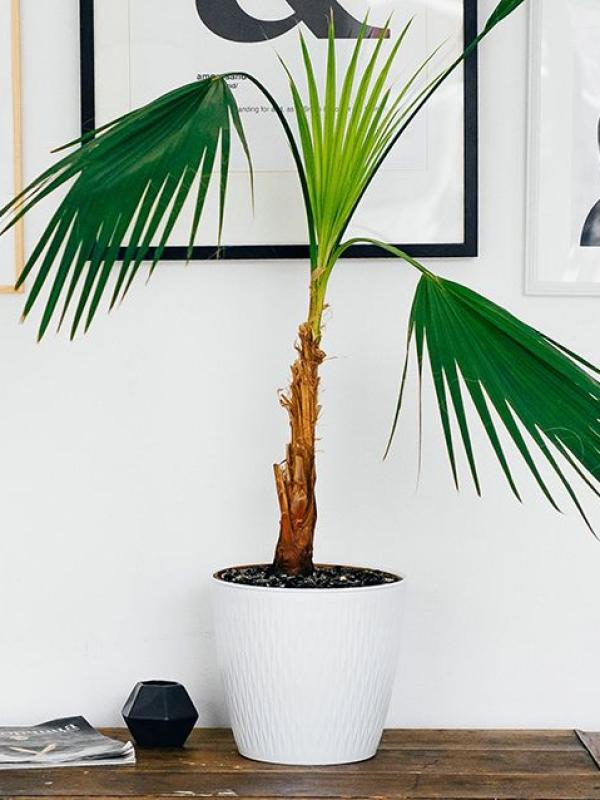 Visualize vertical interfaces